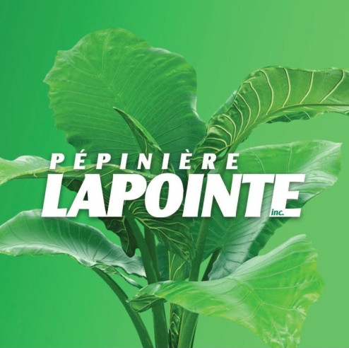 Pépinière Lapointe inc.